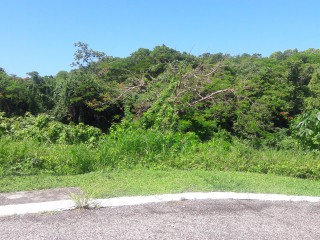 Residential lot For Sale in Negril, St. James Jamaica | [5]