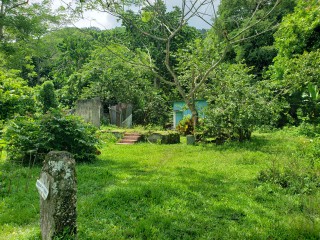 Land For Sale in Frankfield, Clarendon, Jamaica