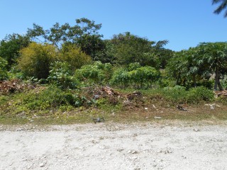 Land For Sale in Cardiff Hall, Runaway Bay, St. Ann Jamaica | [3]