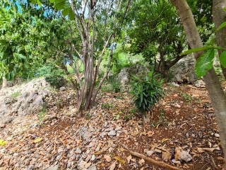 House For Rent in Belgrade Heights, Kingston / St. Andrew Jamaica | [3]