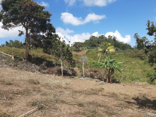 Land For Sale in James Hill, Clarendon Jamaica | [8]