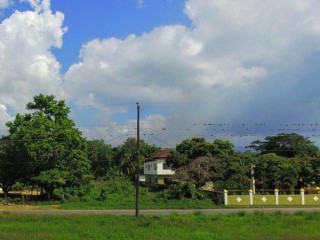 Residential lot For Sale in Savlamar, Westmoreland Jamaica | [4]