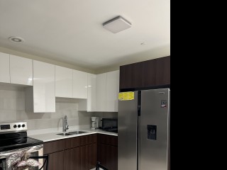 Apartment For Rent in New Kingston, Kingston / St. Andrew Jamaica | [4]