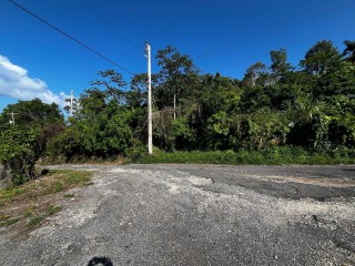 Residential lot For Sale in Rio Nievo, St. Mary, Jamaica