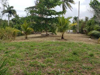 Commercial/farm land For Sale in Unity, St. Mary Jamaica | [7]