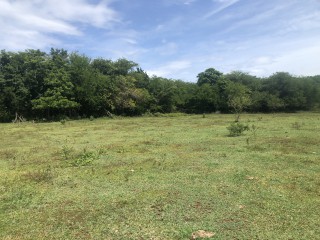 Land For Sale in Negril, Westmoreland, Jamaica