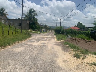 Residential lot For Sale in LUANA PEN BLACK RIVER, St. Elizabeth, Jamaica