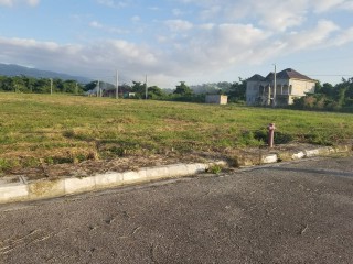 Residential lot For Sale in Paradise, Westmoreland Jamaica | [9]