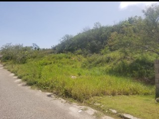 Residential lot For Sale in NEWPORT, Manchester, Jamaica
