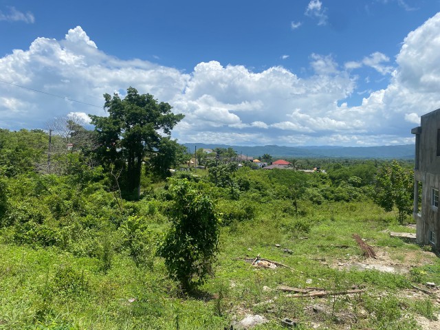 Residential lot For Sale in Santa Cruz, St. Elizabeth Jamaica | [1]