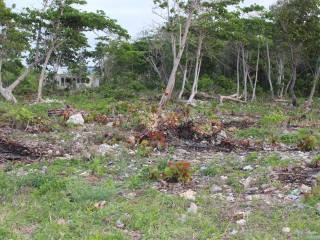 Resort/vacation property For Sale in Galina, St. Mary Jamaica | [3]