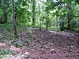Commercial/farm land For Sale in Kitson Town, St. Catherine Jamaica | [4]