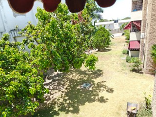 Apartment For Rent in Constant Spring Road, Kingston / St. Andrew Jamaica | [7]