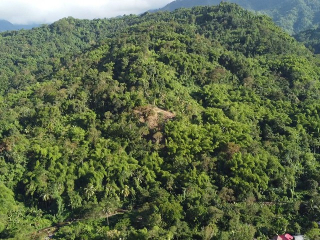Land For Sale in Swift river, Portland Jamaica | [3]