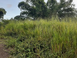 Residential lot For Sale in culloden   White house, Westmoreland Jamaica | [2]