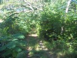 Resort/vacation property For Sale in Round Hill, Hanover Jamaica | [13]
