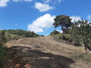 Land For Sale in James Hill, Clarendon Jamaica | [1]