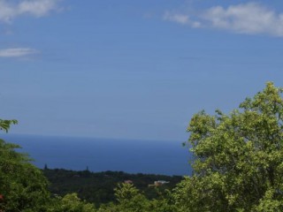 Residential lot For Sale in Duncans, Trelawny Jamaica | [4]