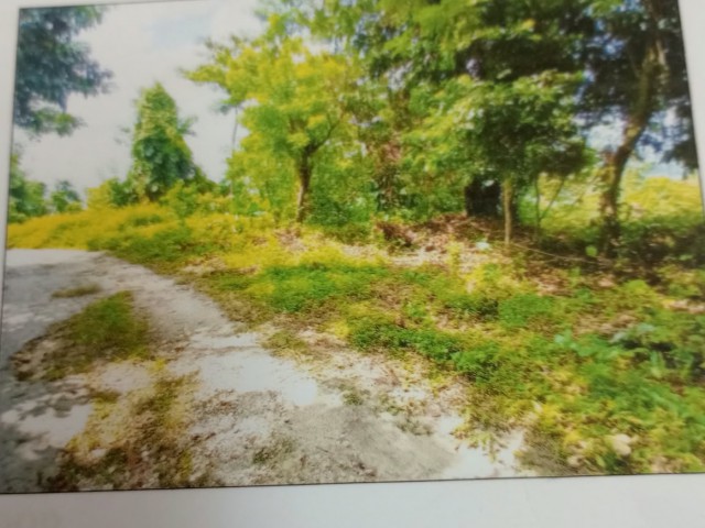 Residential lot For Sale - Haughton Court, Hanover, Jamaica