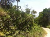 Commercial/farm land For Sale in Bamboo, St. Ann Jamaica | [1]
