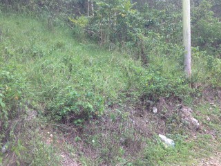 Residential lot For Sale in Mile Gully, Manchester Jamaica | [5]