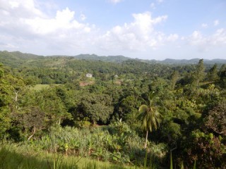 Commercial/farm land For Sale in Summer Hill, St. James Jamaica | [1]