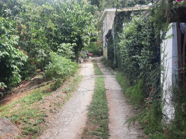 1 bed Apartment For Rent - Gordon Town, Kingston / St. Andrew, Jamaica