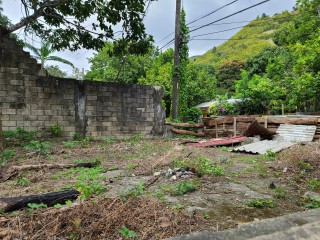 Land For Sale in Cedar Valley  St Thomas, St. Thomas Jamaica | [11]