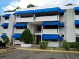 Apartment For Rent in West avenue, Kingston / St. Andrew Jamaica | [10]