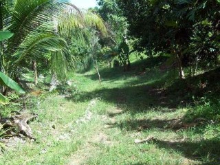 Commercial/farm land For Sale in Bog walk, St. Catherine Jamaica | [5]