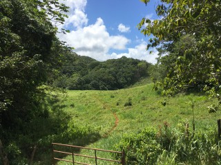 Residential lot For Sale in Chippenham Park Bamboo, St. Ann Jamaica | [10]