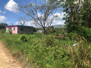 8 bed House For Sale in Linstead, St. Catherine, Jamaica