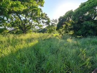 Land For Sale in Toll Gate, Clarendon, Jamaica