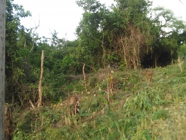 Residential lot For Sale in Chancery Hall, Kingston / St. Andrew Jamaica | [1]