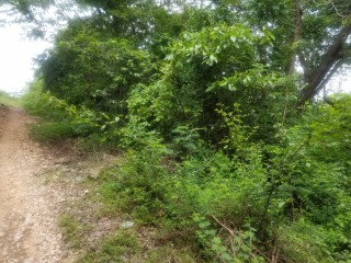 Residential lot For Sale in Clarendon, Clarendon Jamaica | [5]