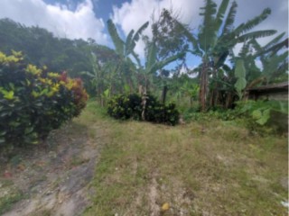Land For Sale in Jeffrey Town, St. Mary, Jamaica