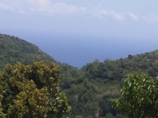 Residential lot For Sale in Fairy Hill, Portland Jamaica | [3]