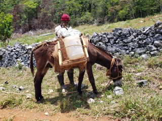 Land For Sale in Friendship St Ann, St. Ann, Jamaica