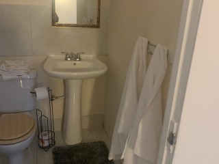 Resort/vacation property For Rent in Rio Nuevo, St. Mary Jamaica | [3]