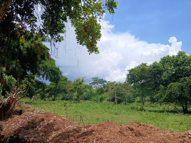 Land For Sale in Linstead, St. Catherine Jamaica | [3]