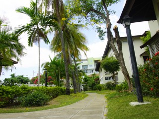 2 bed Apartment For Rent in New Kingston Kingston 5, Kingston / St. Andrew, Jamaica
