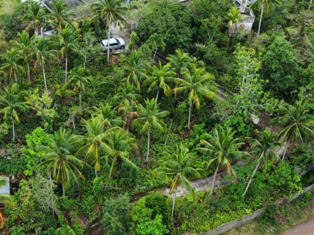 House For Sale in Watermount, St. Catherine Jamaica | [4]