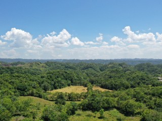 Residential lot For Sale in Chippenham Park Bamboo, St. Ann Jamaica | [10]