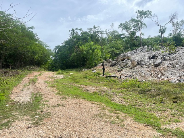 Development Land (Residential) For Sale - Woodside, Clarendon, Jamaica