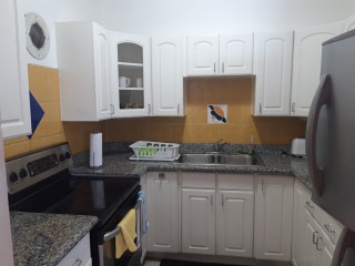 Apartment For Rent in New Kingston, Kingston / St. Andrew Jamaica | [6]