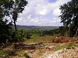 Residential lot For Sale in Huddersfield, St. Mary Jamaica | [1]