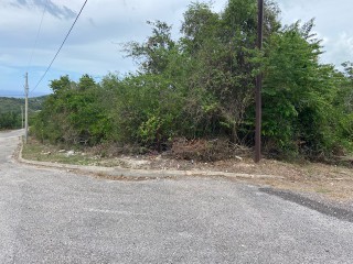 Residential lot For Sale in Duncans, Trelawny Jamaica | [7]