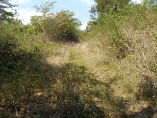 Residential lot For Sale in Eldarado, St. Catherine Jamaica | [5]