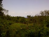 Commercial/farm land For Sale in Boscobel, St. Mary Jamaica | [1]