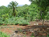 Commercial/farm land For Sale in Kitson Town, St. Catherine Jamaica | [1]